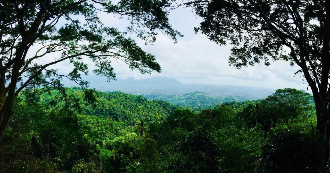 Ceylon Saradiel Home Stay Mawanella Bagian luar foto